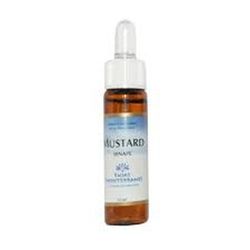 Fiori Mediterranei Mustard 10 Ml