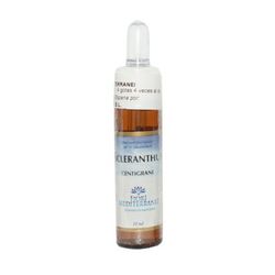 Fiori Mediterranei Sclerantus 10 Ml