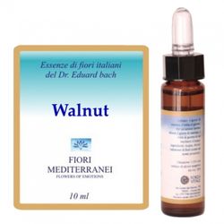 Fiori Mediterranei Walnut 10 Ml
