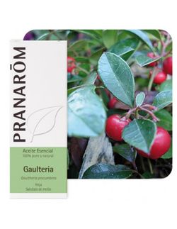 Gaulteria hoja 10 ml