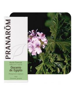 Geranio de egipto hoja 10 ml