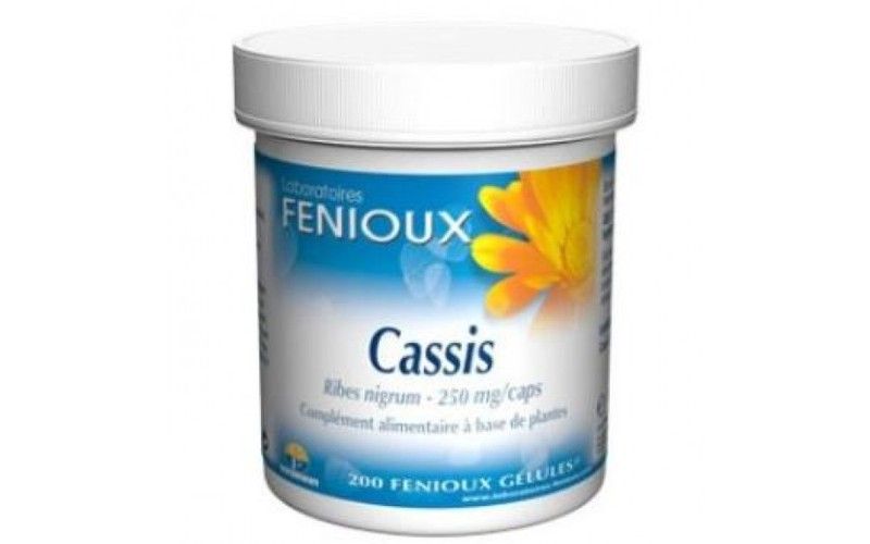 Grosellero Negro (Cassis) 200 Caps