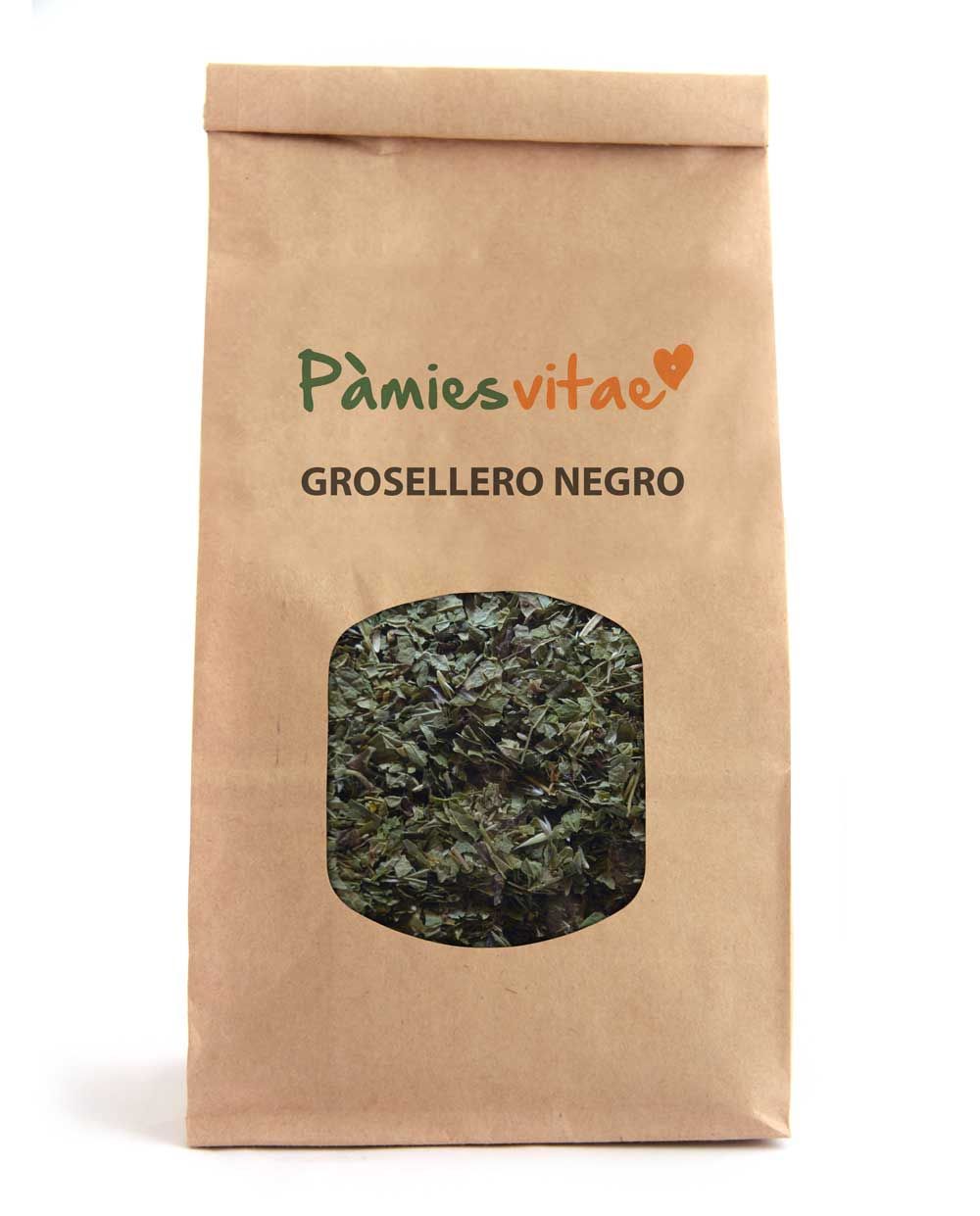 GROSELLERO NEGRO - Ribes nigrum Bolsa 100 g
