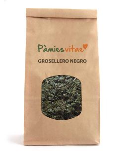 GROSELLERO NEGRO - Ribes nigrum Bolsa 100 g