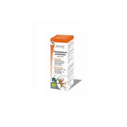 Harpagophytum Procumbens 100 Ml