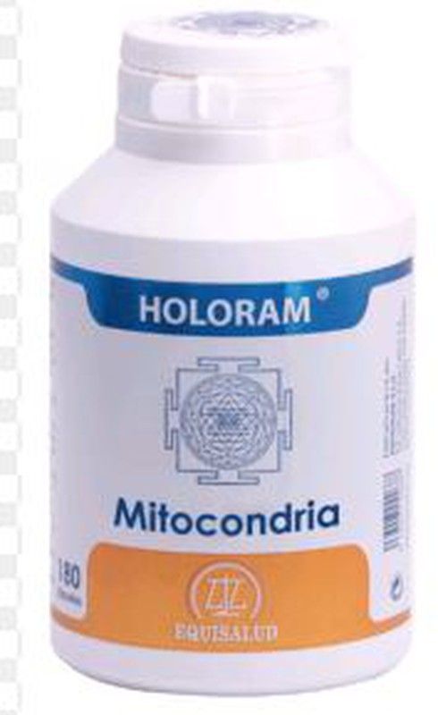 Holoram Enami 180 Cap