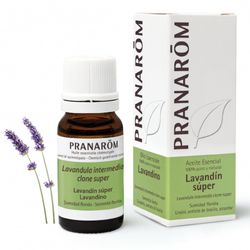 Lavandin super sumidad florida 10 ml