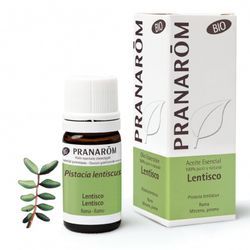 Lentisco rama 5 ml bio
