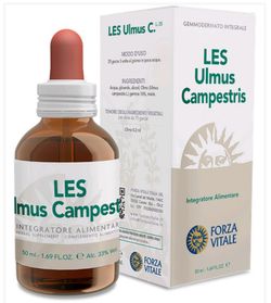 LES Ulmus Campestris 50 Ml