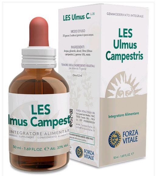 LES Ulmus Campestris 50 Ml