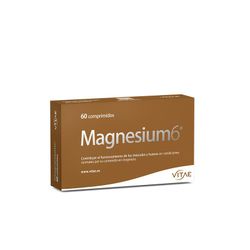 Magnesium 6 60 Compr