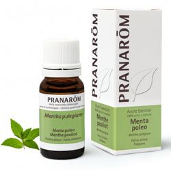 Menta poleo partes aereas 10 ml