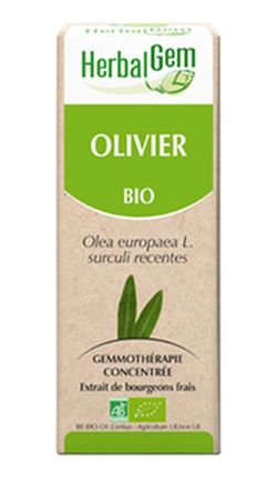 Olivo Bio 50 Ml