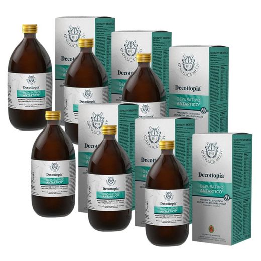 Pack 6 Depurativo Antartico 500ml Decottopia Gianluca Mech