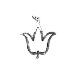 Petit Penjoll De Plata Amb Cadena