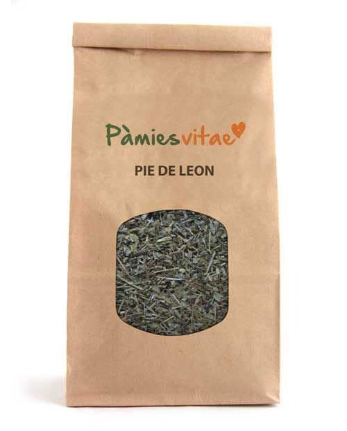 PIE DE LEON - Alchemilla vulgaris Bolsa 500 g