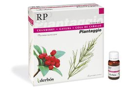 Plantaggio Rp 20 Viales