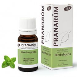 A esencial hierbabuena partes aereas bio 10 ml