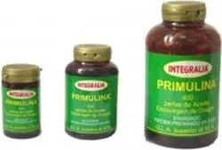 Primulina 100 Perlas
