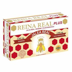 Reina Real Plus 20 Amp