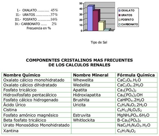 Comprar Slackstone Ii Per Preparar Aigua Dialítica 2 Ampolles Laboratoris Yborra