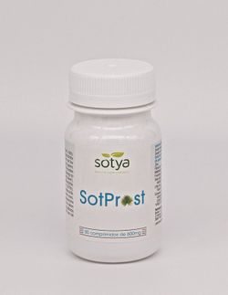 Sot-Prost 600 Mg. 80 Comp