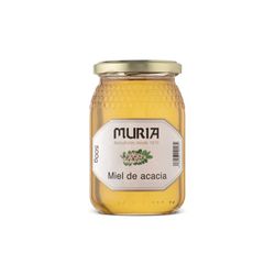 Pot De Mel D'Acacia 500 Grs.