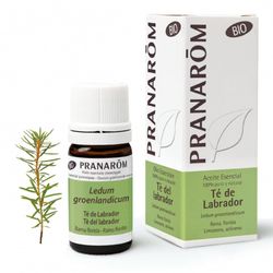 Te de labrador rama flori 5 ml bio
