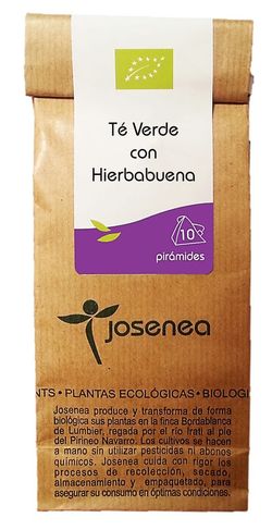 Te Verde Con Hierbabuena Bio B-10 Piramides