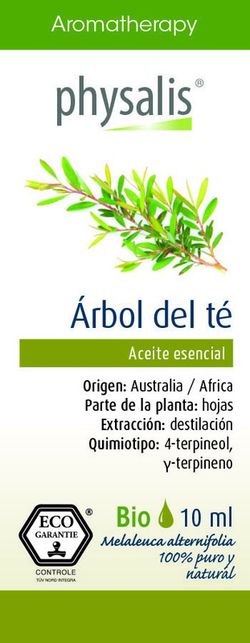 Tea Tree Arbol Del Te 10 Ml