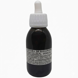 Tintura Kalanchoe Pinnata 100ml Pamies Vitae
