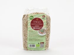Trigo Sarraceno Bio 500 Gr