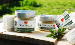 Ungüento Santa Maria 80 ml