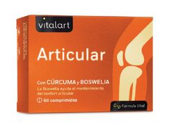 Vitalart Articular 60 Comp