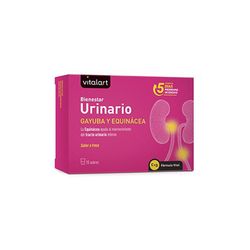 Vitalart benestar urinari 10 sobres